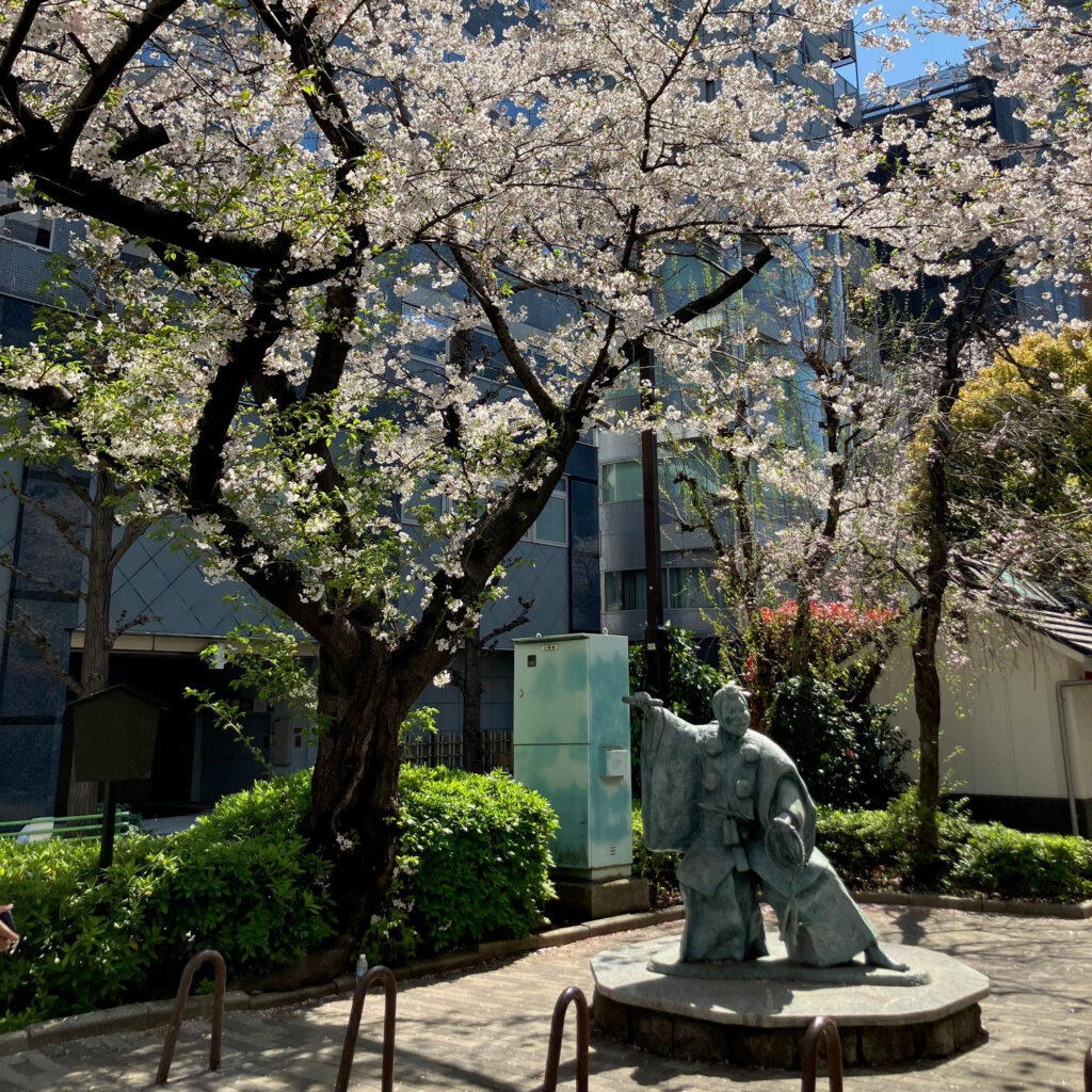 新卒社員が入社しました🌸